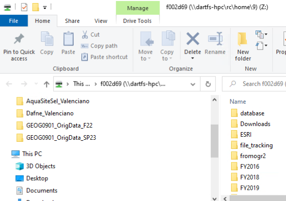Mapped Network Drive