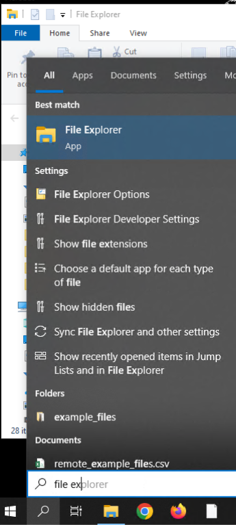 Windows File Explorer